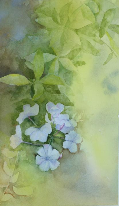 Imagen del evento: Salida a pintar a los Jardines de Cristina