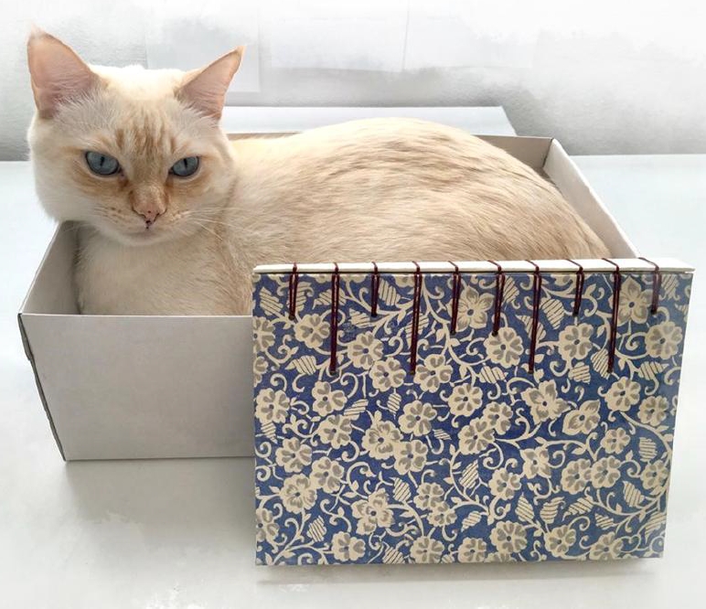 Cómo hacer un Cuaderno de Viajes para Acuarelistas